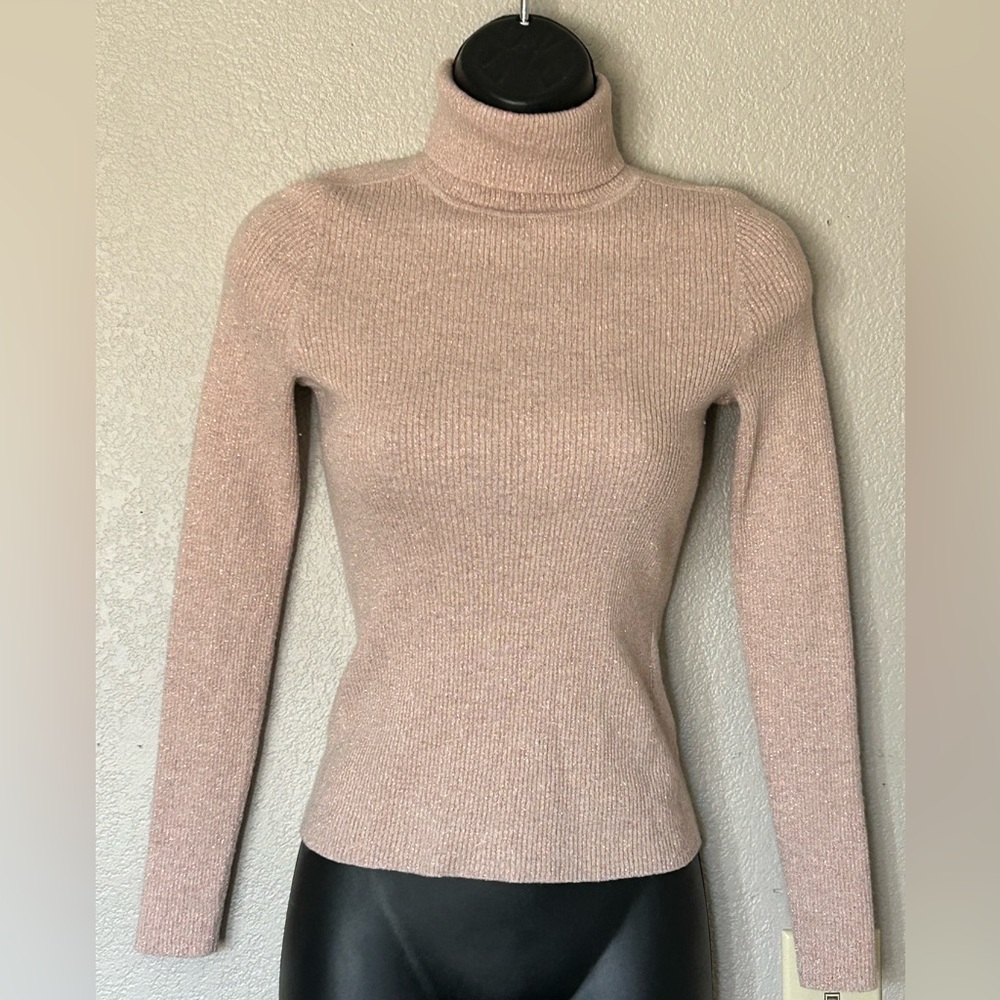 EVERLANE Blush Pink Turtleneck Shirt with Gold Metallic Threads Holiday Sz S